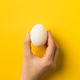 Illustration for article titled PETA says you can’t call yourself a feminist if you eat eggsem/em